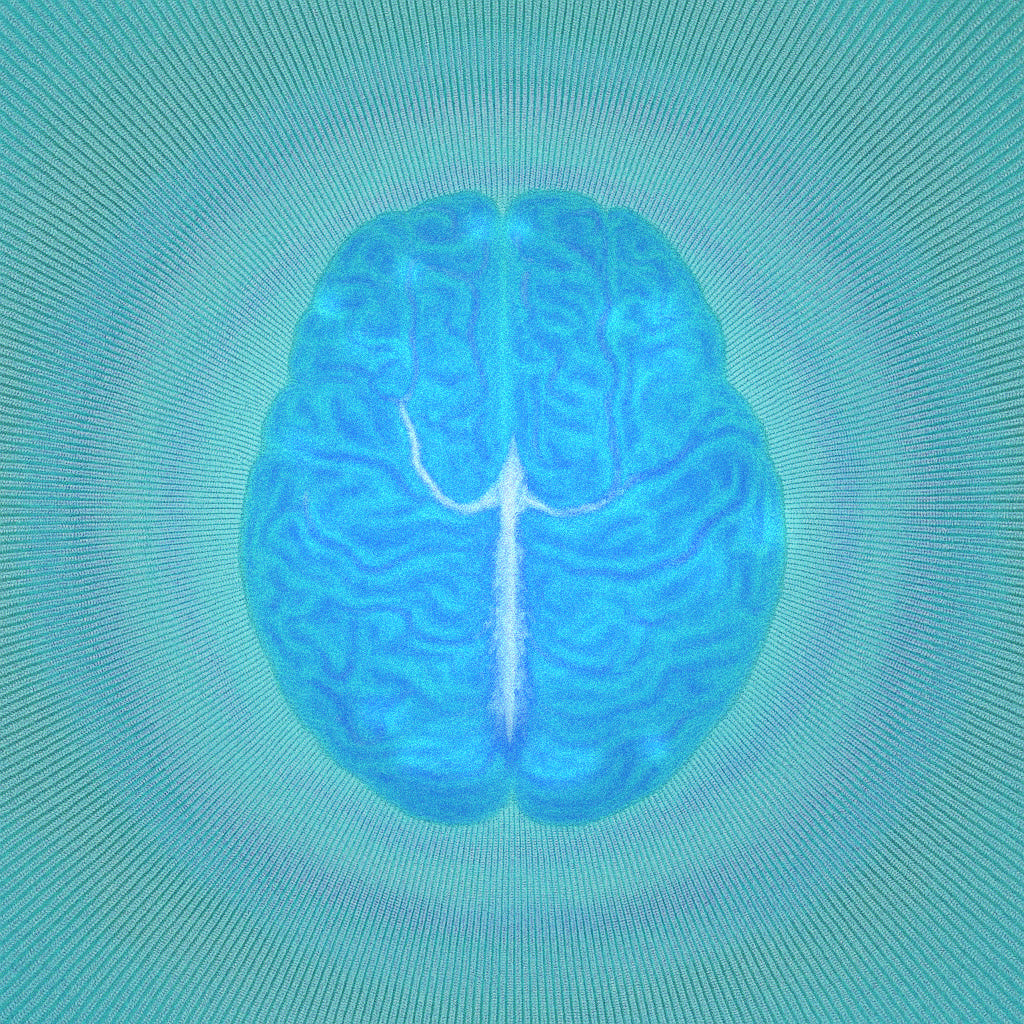 PQQ and You: Clinical Insights