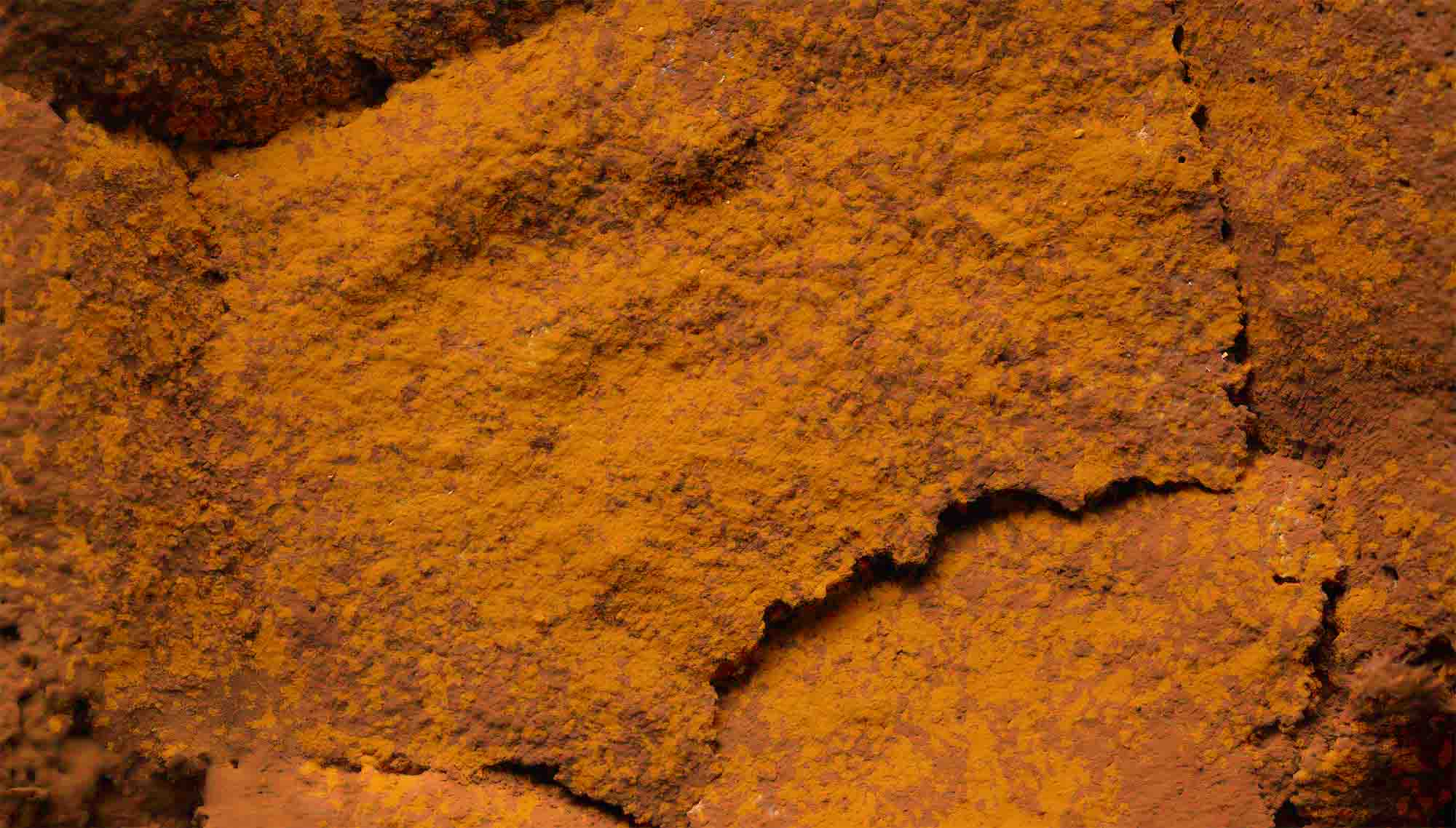 Curcumin: Clinical Studies